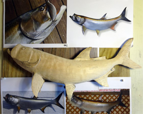 John Koester Originals - Tarpon Carving Progress