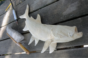 John Koester Originals - Tarpon Carving Progress